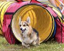 20190616-cckc-1043