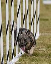 20190616-cckc-1069