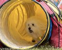 20190616-cckc-1104