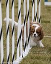20190616-cckc-1149