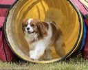 20190616-cckc-1161