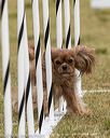 20190616-cckc-1167