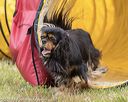 20190616-cckc-1213