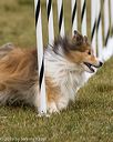 20190616-cckc-1236