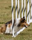 20190616-cckc-1282
