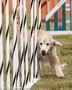 20190616-cckc-1290