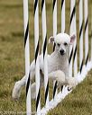 20190616-cckc-1346