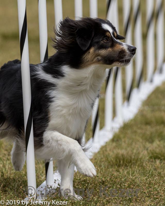 20190616-cckc-1378.jpg