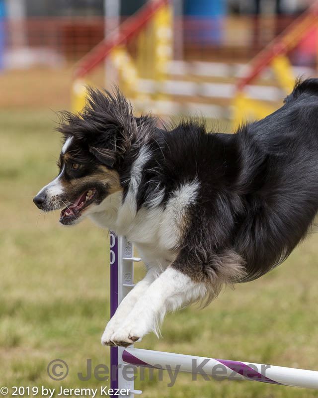 20190616-cckc-1385.jpg