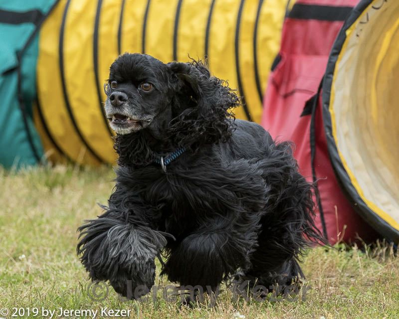 20190616-cckc-1445.jpg