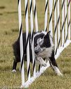 20190616-cckc-1485