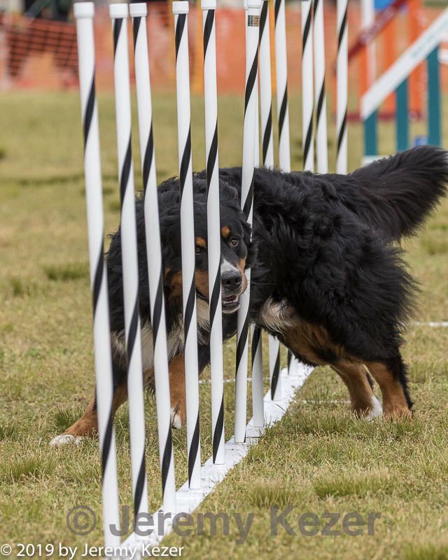 20190616-cckc-1457.jpg