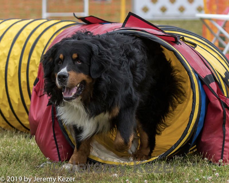 20190616-cckc-1469.jpg