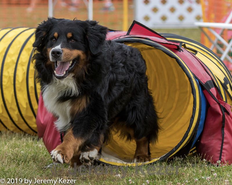 20190616-cckc-1470.jpg