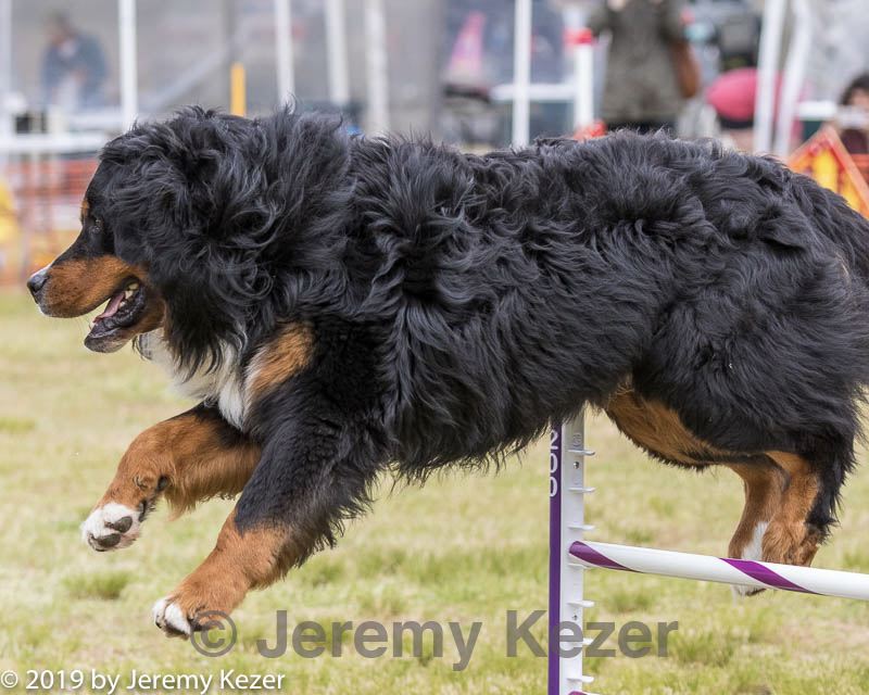 20190616-cckc-1473.jpg