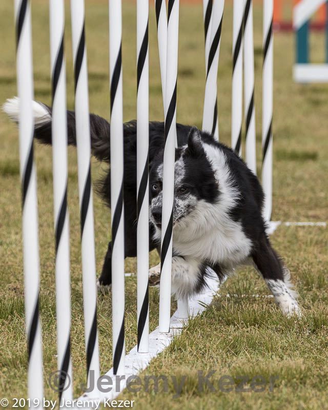20190616-cckc-1478.jpg