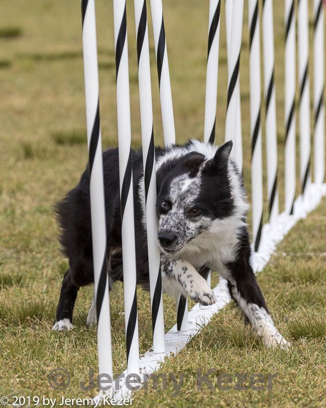 20190616-cckc-1485.jpg