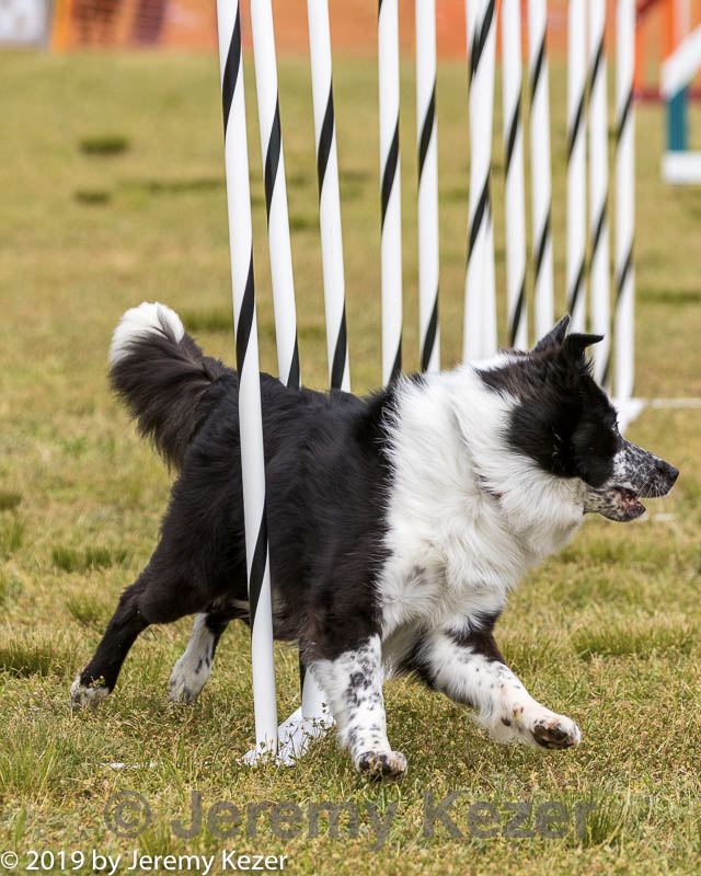 20190616-cckc-1491.jpg