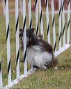 20190616-cckc-0240