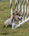 20190616-cckc-0307