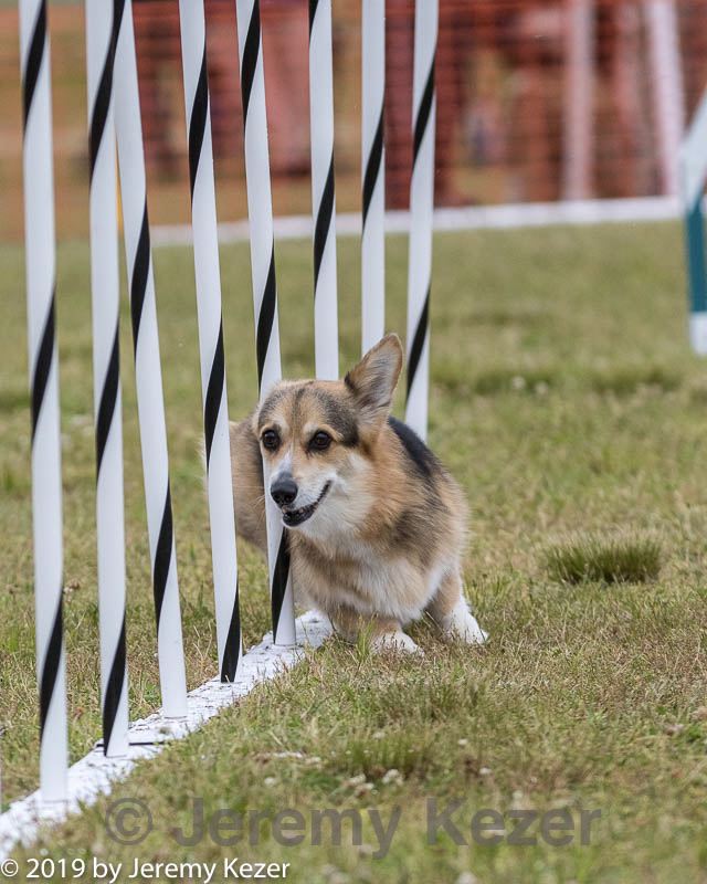 20190616-cckc-0297.jpg