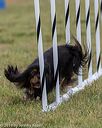 20190616-cckc-0375