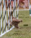 20190616-cckc-0378