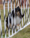 20190616-cckc-0395