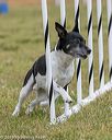 20190616-cckc-0545