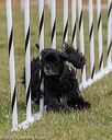 20190616-cckc-0575