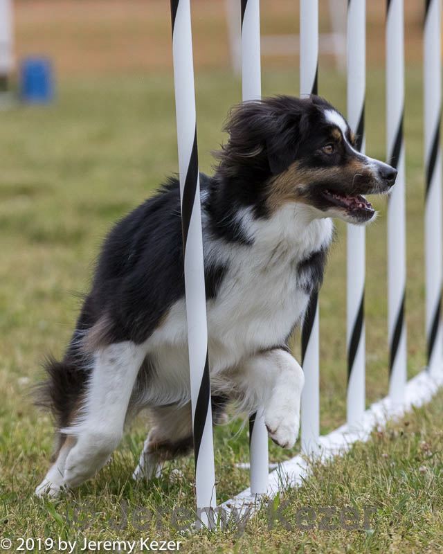 20190616-cckc-0515.jpg