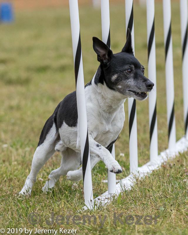 20190616-cckc-0545.jpg