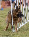 20190616-cckc-0653