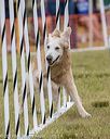 20190616-cckc-0661