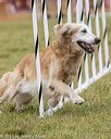 20190616-cckc-0681