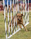 20190616-cckc-0689