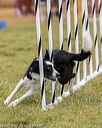 20190616-cckc-0756