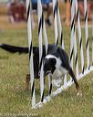 20190616-cckc-0768