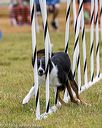 20190616-cckc-0769