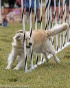 20190616-cckc-0781
