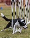 20190616-cckc-0814