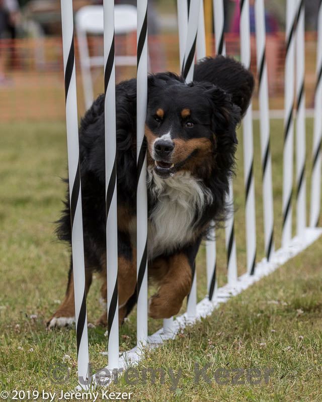 20190616-cckc-0590.jpg