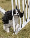 20190616-cckc-1654