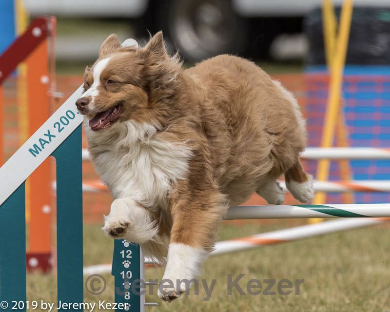 20190616-cckc-1662.jpg