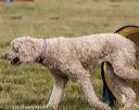 20190616-cckc-1705