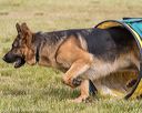 20190616-cckc-1731