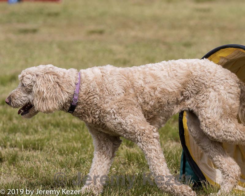 20190616-cckc-1705.jpg