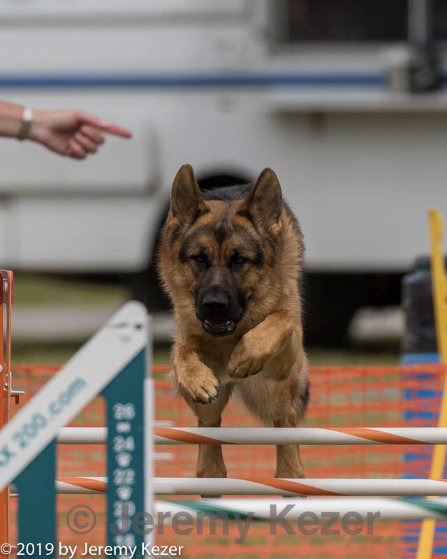 20190616-cckc-1707.jpg