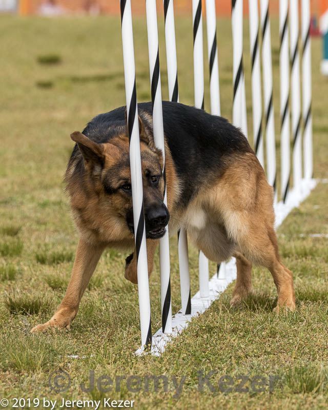 20190616-cckc-1725.jpg