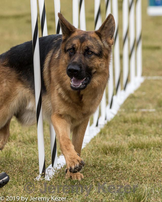 20190616-cckc-1729.jpg